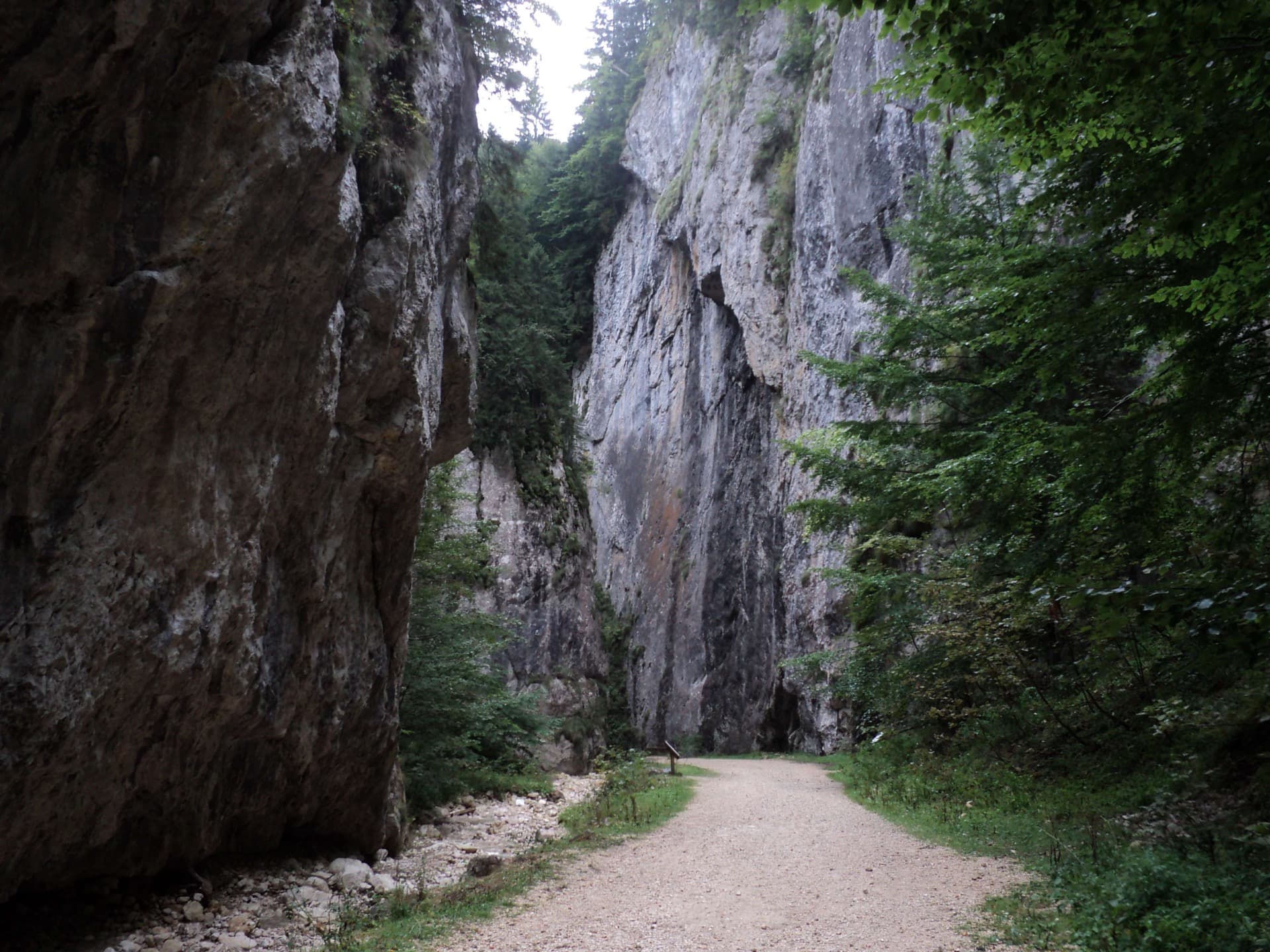 Die Piatra Craiului Berge