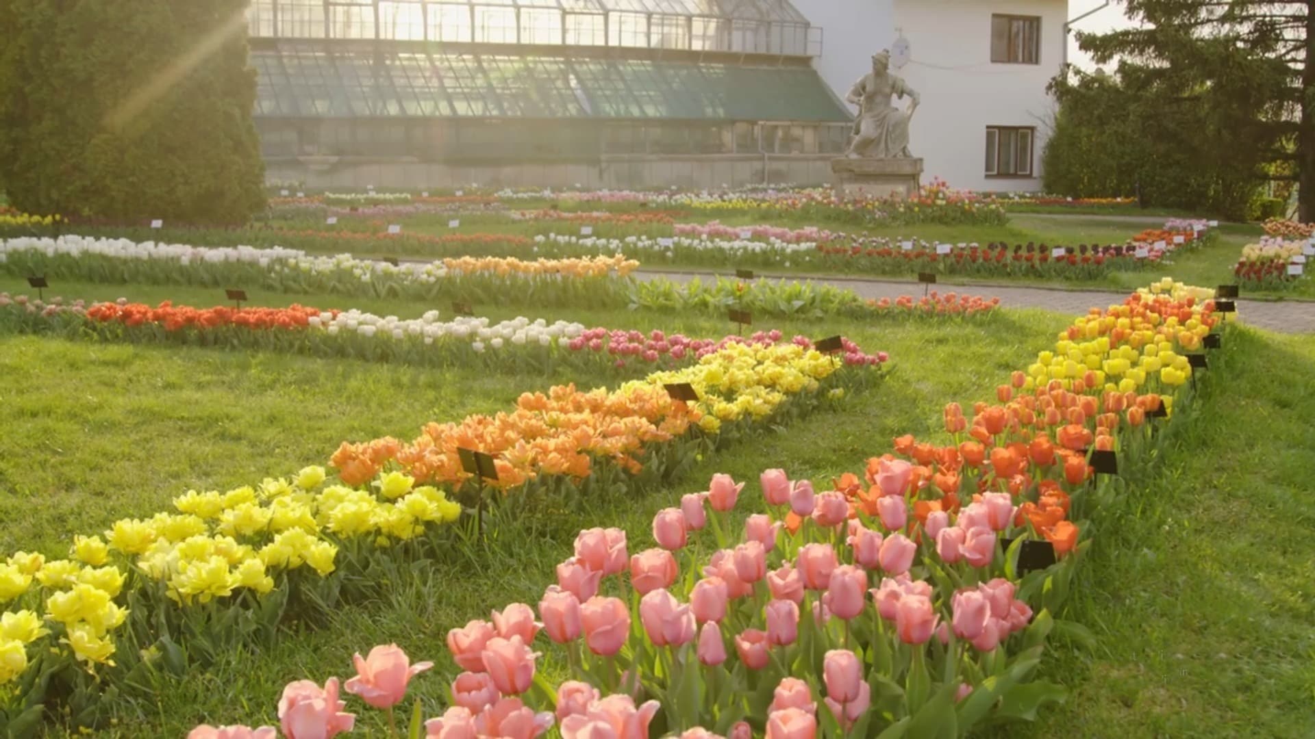 Der Botanische Garten „Alexandru Borza"